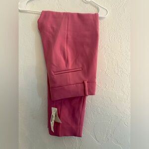 Pretty purple dress pants jcrew nwt size 6